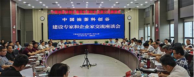 关于中国油茶科创谷建设专家和企业家交流座谈会在长沙召开的信息