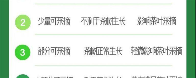 有关于六安瓜片开采啦，附其它知名茶叶的采摘指数的新闻