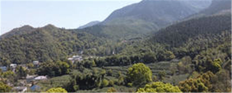 有关于深耕匠心做好茶 “华茗杯”多款江西茶榜上有名！的热门新闻