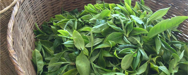 有关于抵制“天价茶”！中国茶叶流通协会倡议维护茶叶流通秩序的最新消息