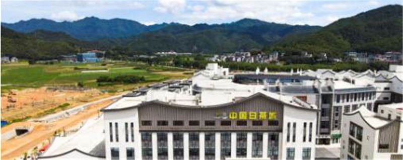 关于福建省、市市场监管局领导赴政和调研茶竹产业标准制修订工作的信息