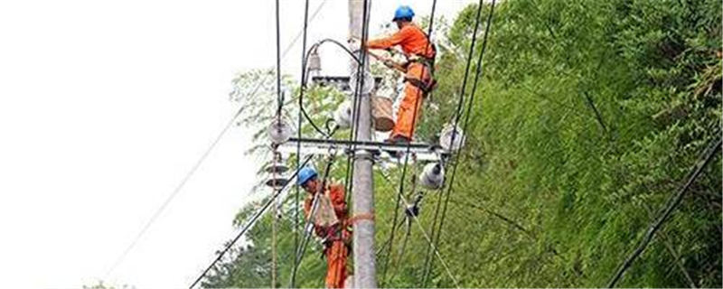 有关于国网平阳县：护航“全电制茶” 为守护绿水青山贡献力量的信息