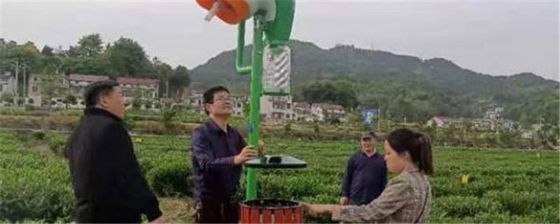 关于英山引进新型诱虫灯 助力生态茶园绿色高效发展的新闻