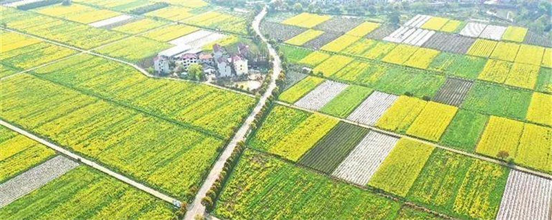 有关于播撒绿色希望 放飞有机梦想 武义现代农业生机盎然的信息