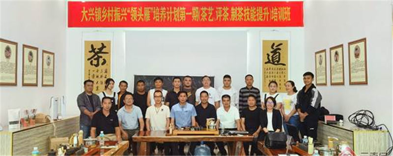 关于云南绿春：培育茶叶“领头雁” 以产业先行推动乡村振兴的消息