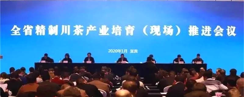 有关于四川精制川茶产业瞄准千亿 着力推动全产业链发展的新闻