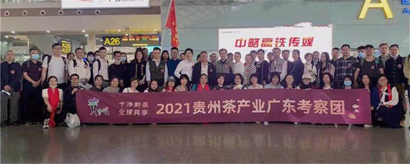 关于广东茶商再次“包”高铁赴黔参加贵州茶产业博览会的热门消息