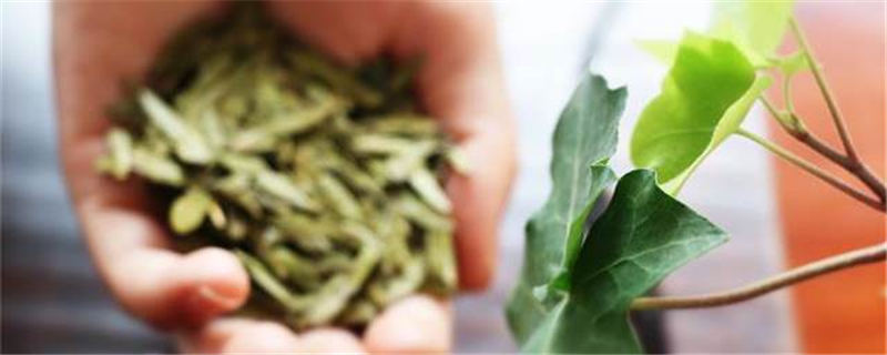 有关于杭州拟将3月31日设为“西湖龙井茶节”的最新消息