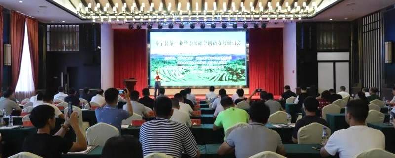 关于“4+1”茶产业发展战略合作，泰宁县这场群英研讨会，剑指茶产业和茶旅融合发展的信息