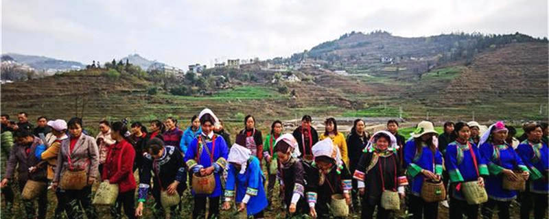 关于贵州普安召开全县茶产业带建设现场推进会的消息