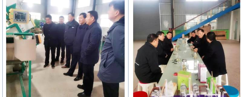 关于安徽：舒城县人民政府副县长梅家宏深入茶区调研的热门资讯