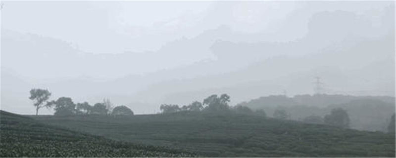 有关于除了龙井，杭州还有这些茶园的茶叶和美景让人陶醉!的热门资讯