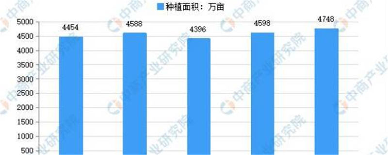 有关于2021年中国茶产业市场现状分析：茶园种植面积增长3.26%的最新资讯