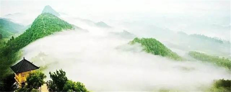 有关于贵州凤冈人真厉害，把锌硒茶卖到了全世界，农民靠茶园创收致富的信息