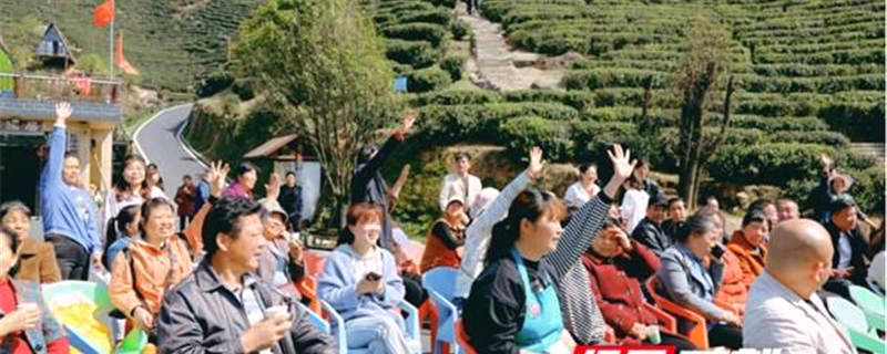 关于湖南长沙：“小茶叶”做出黑麋峰乡村振兴“大文章”的信息