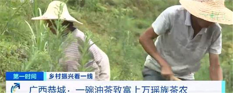 有关于一碗油茶致富上万瑶族茶农 茶叶产值达1.16亿元的热门资讯