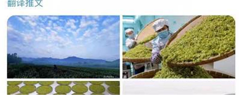 关于华春莹点赞杭州！外国朋友也被惊艳到了：“味道好极了……”的热门消息