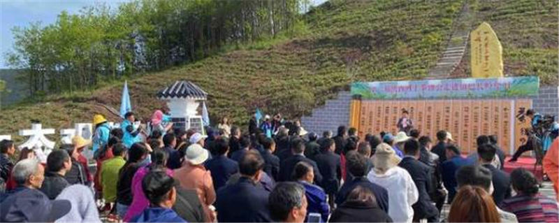 有关于第二届陕西网上茶博会走进镇巴长岭望月 一片叶子富一方百姓的最新消息