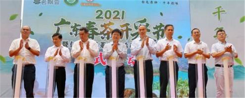 有关于广东春茶上新产销两旺，茶农们迎来“富口袋”的热门消息