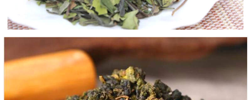 关于“如何提升茶经济”“2021普洱茶市场分析”“新茶饮市场边界在哪”的热门信息