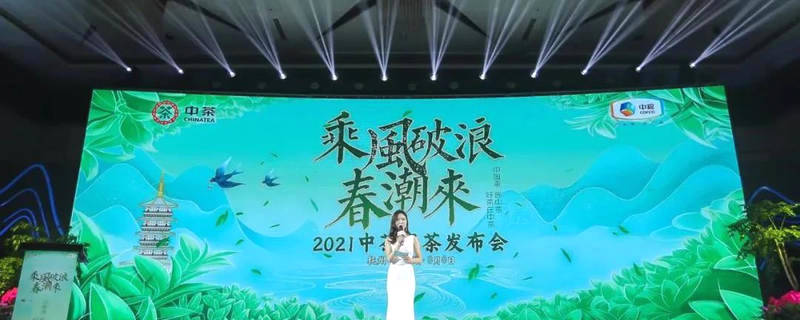 有关于紫阳富硒茶精彩亮相2021中茶绿茶发布会的资讯