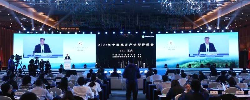 关于第四届国际（宜宾）茶业年会在宜宾三江新区开幕的新闻