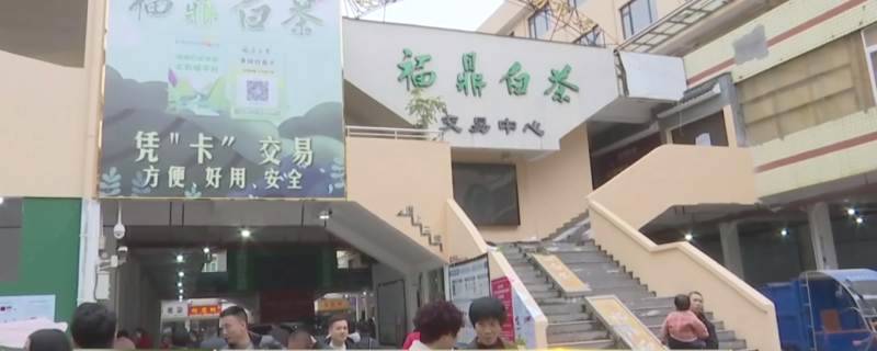 关于福鼎白茶大数据溯源平台正式运行，听听茶农茶企都是怎么说！的热门新闻