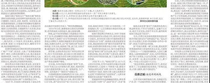 关于新华每日电讯：福鼎白茶茶中黑马，改变万千人生的信息