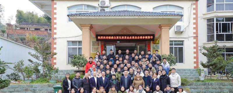 有关于福鼎市茶业协会组织200家当地茶企实地考察品品香的热门消息