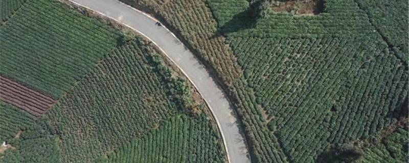 关于贵州省第一部促进茶产业发展法规正式施行的热门资讯