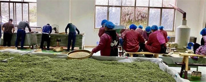 关于四川雅安：聚焦“一绿一黑” 实施单品突破的信息