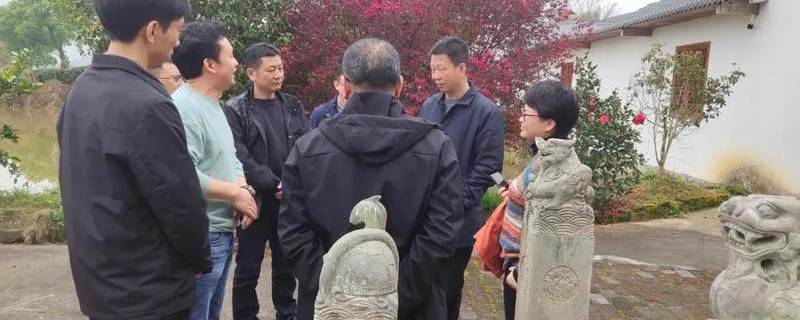 有关于包江苏深入白琳镇调研福鼎白茶大数据溯源工作的最新消息