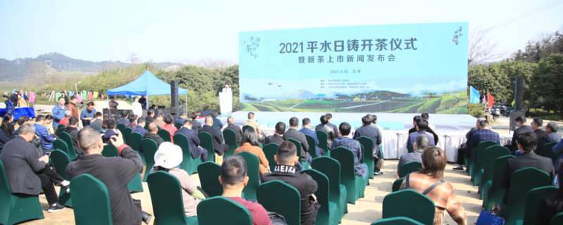关于平水日铸茶今日开采，现场销售意向百万元的新闻