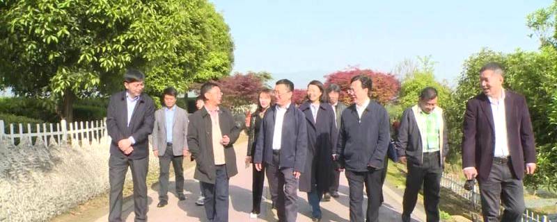 有关于蒙顶山茶对话名家名刊，看看会有怎样的激情与火花的热门消息