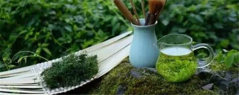 有关于从女娲故里“生物基因库”走出的茶中“尤物”的资讯