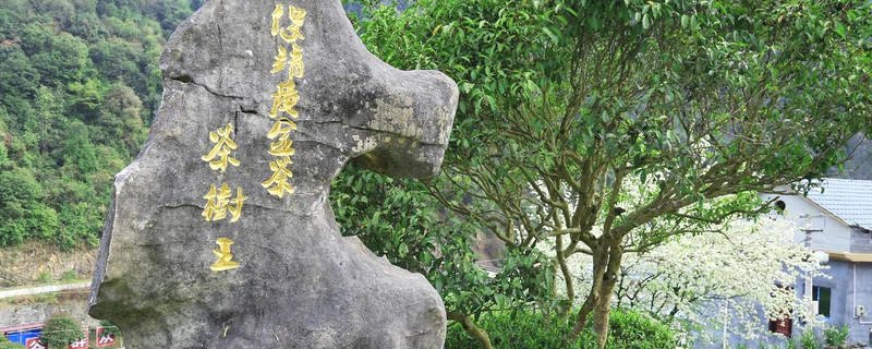 有关于“保靖黄金茶国家地理标志产品保护示范区” 入选“2021年国家地理标志产品保护示范区筹建名单”的热门资讯