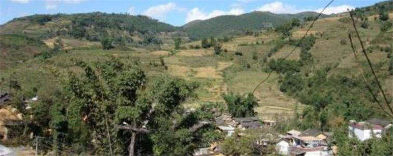 关于茶房乡：干群齐力谋发展 革命老区展新颜的消息