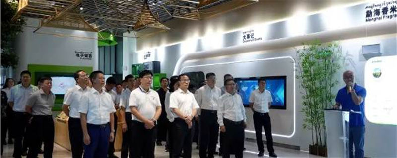 有关于勐海要全力建设普洱茶现代产业示范县、康养旅居示范县、乡村振兴示范县的最新信息