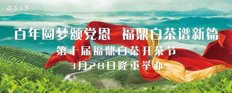 关于第十届福鼎白茶开茶节将于3月28日举办的热门新闻
