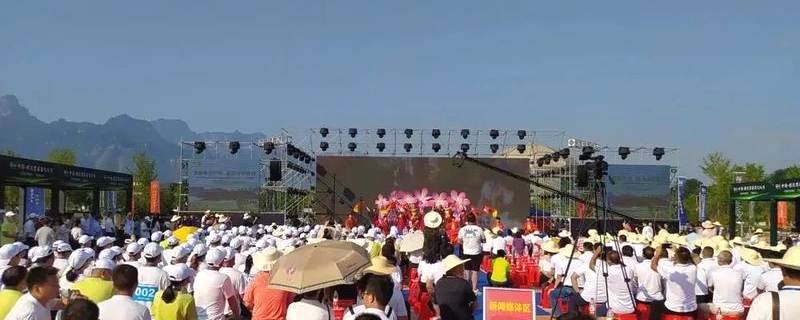 有关于中茶协支持张家界永定区以莓茶特色产业助力乡村振兴发展的资讯