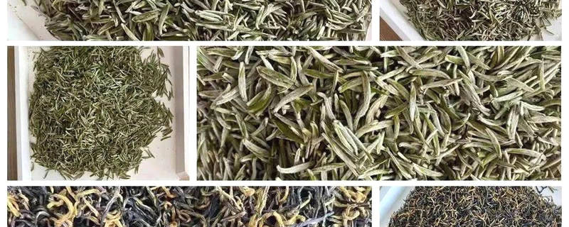 有关于第五届安康富硒茶名优茶大赛“茶王”揭晓的热门信息