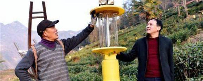 关于五峰人大代表履职在茶园 助推茶产业发展的消息