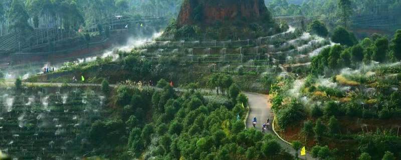 有关于四川宜宾农商银行系列金融“组合拳”助力茶产业成功解困“突围”的热门消息