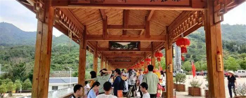 关于福建首家高速服务区“大众茶馆”开业，探索“茶旅”融合新模式的新闻