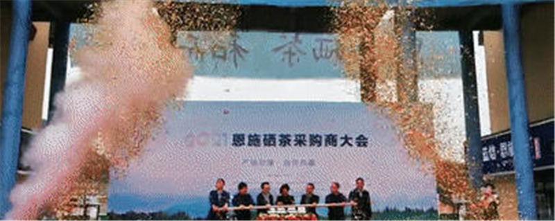 关于湖北：2021恩施硒茶采购商大会在恩施市硒茶小镇举行的热门新闻