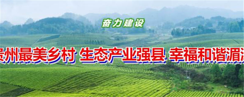 关于贵州省政协农业农村委来湄潭调研农产品深加工和品牌建设的最新信息