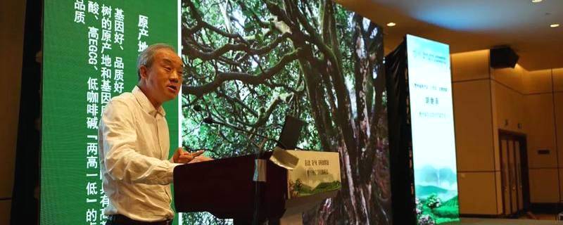 关于胡继承在浙江·天台茶产业十四五发展战略研讨会上的发言的资讯