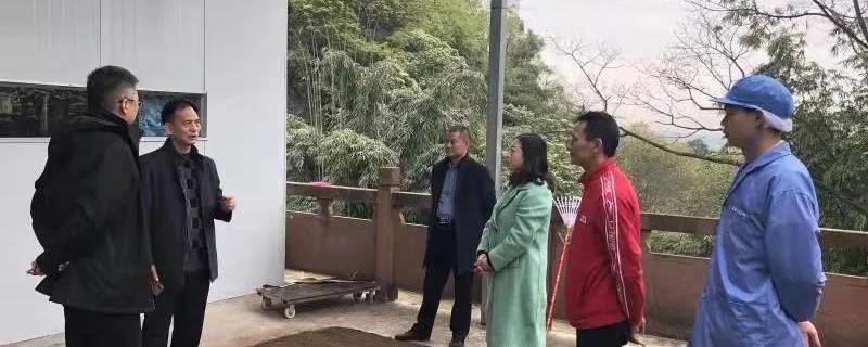 关于四川省茶叶行业协会赴蒙顶山新型高科技茶企调研的信息