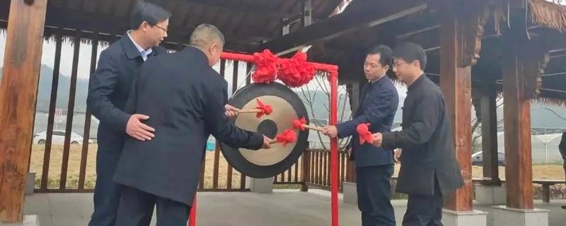 有关于浙江开化：茶香季 致富季 池淮茶青交易市场正式开市啦！的信息