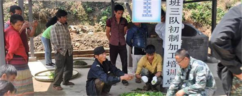 关于“以茶为媒”实施精准扶贫 勐海茶厂助推茶农过上好日子的信息